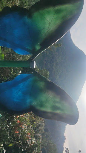 Photo from customer review