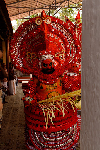 Photo from customer review