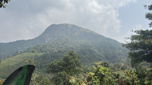 Photo from customer review