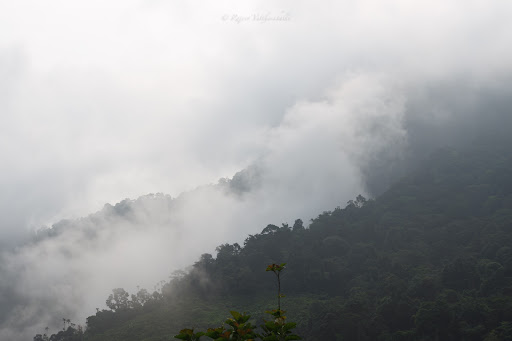 Photo from customer review