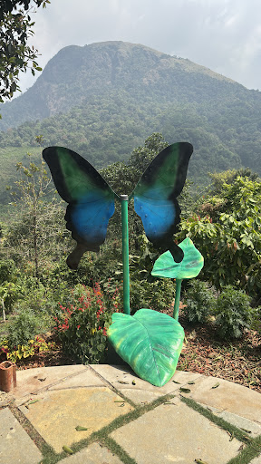 Photo from customer review