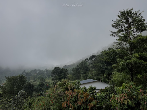 Photo from customer review