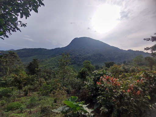 Photo from customer review