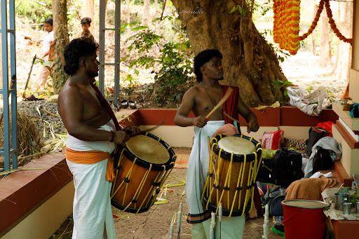 Photo from customer review