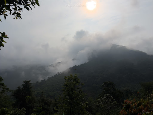 Photo from customer review